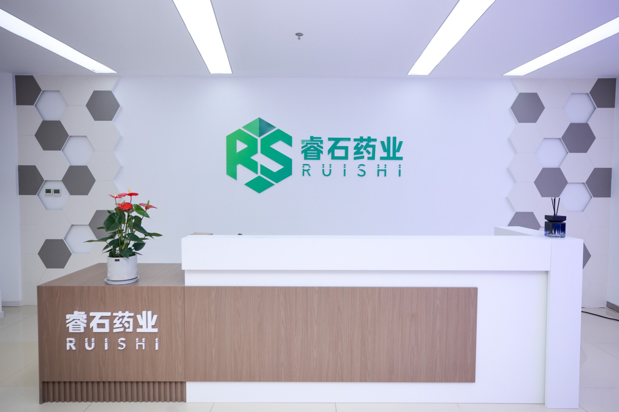 公司展示